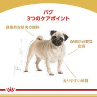 ロイヤルカナン  パグ 成犬・高齢犬用 1.5kg