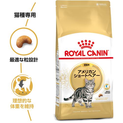 ロイヤルカナン アメリカン ショートヘアー専用フード 成猫用