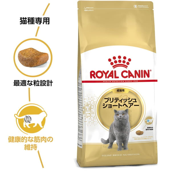 ブリティッシュ ショートヘアー 専用フード 成猫用