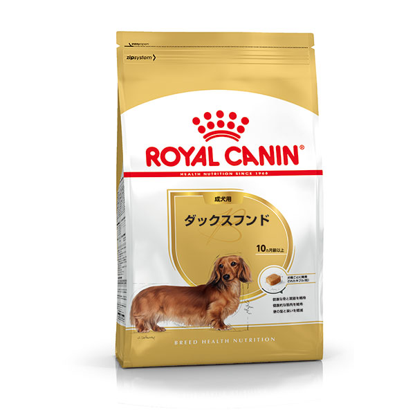 ダックスフンド 成犬用