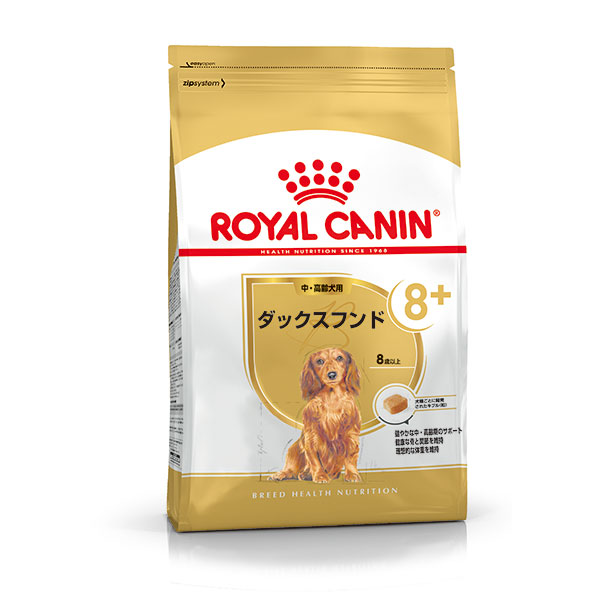 ダックスフンド 中・高齢犬用