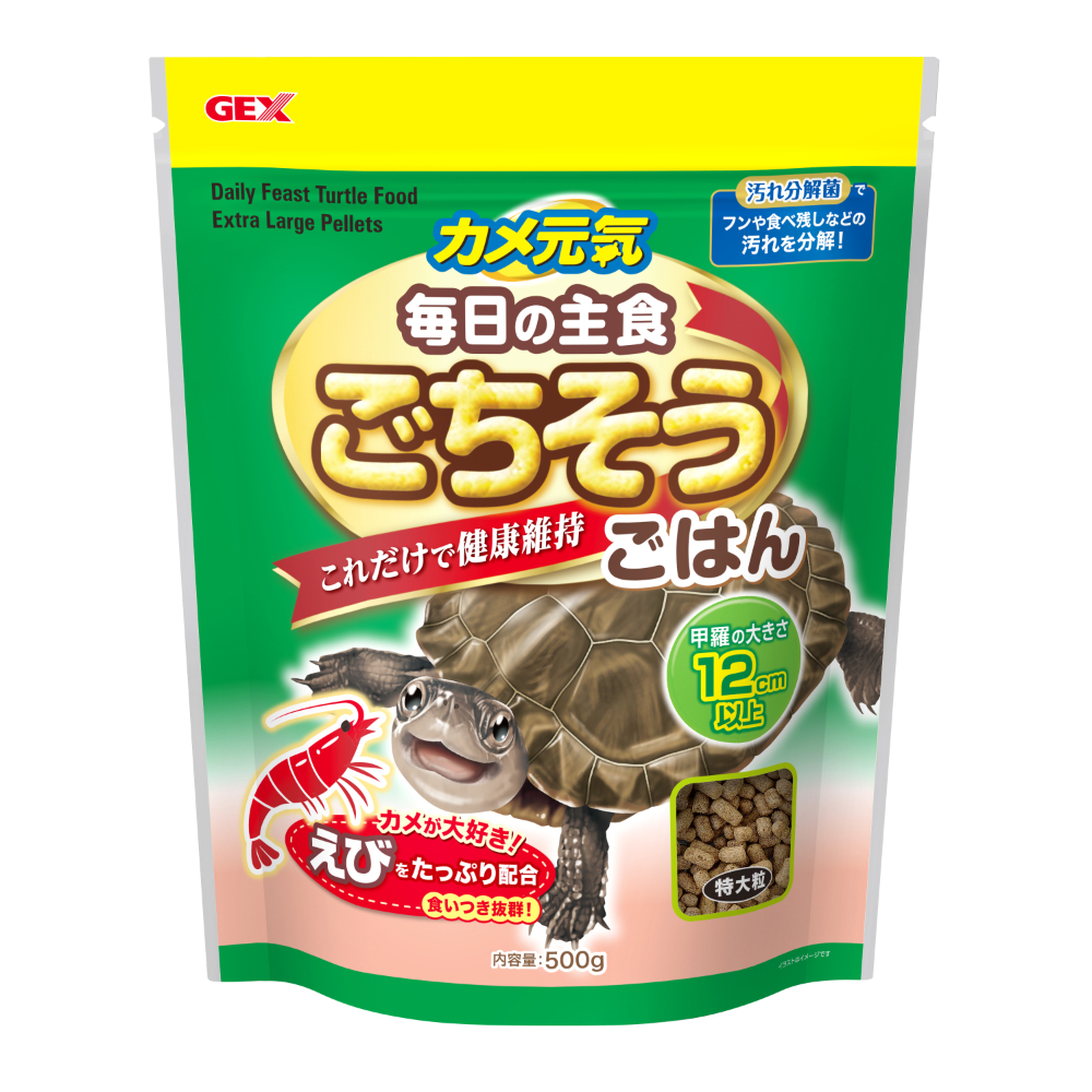 GEX カメ元気　ごちそうごはん　特大粒 500g