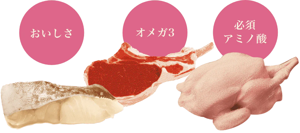 “肉”と“魚”