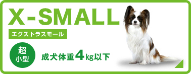 超小型犬 4㎏以下