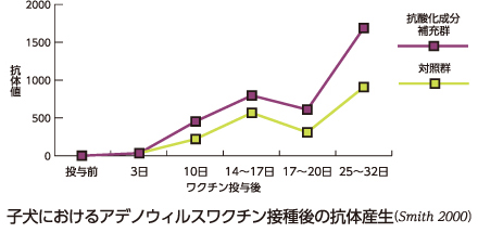 子犬におけるアデノウィルスワクチン接種後の抗体産生