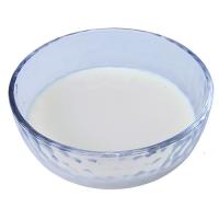 ドギーマン わんちゃんの国産牛乳　乳酸菌プラス　200ml
