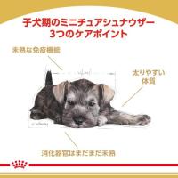 ロイヤルカナン　ミニチュア シュナウザー 子犬用　1.5kg