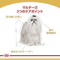 ロイヤルカナン  マルチーズ 成犬・高齢犬用 1.5kg