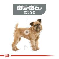 ミニ デンタル ケア(歯垢・歯石が気になる犬用 小型犬専用 成犬〜高齢犬用) 800g